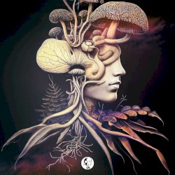 Cerebral Awakening (Extended Mix)