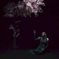 As the Light Left