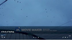 A Flocks of Starlings