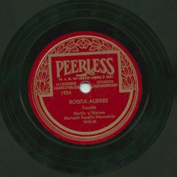 Rosita Albires / Los albañiles