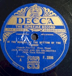 In the Bushes at the Bottom of the Garden / Perry-Werry-Winkle