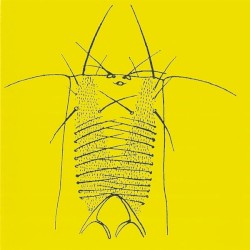 Independent Worm Saloon