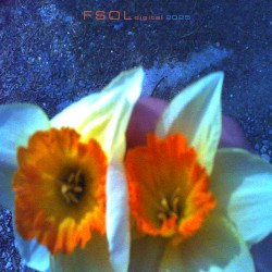 FSOLdigital Presents 2025 Calendar