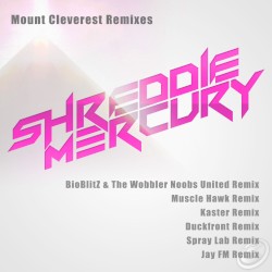 Mount Cleverest Remixes