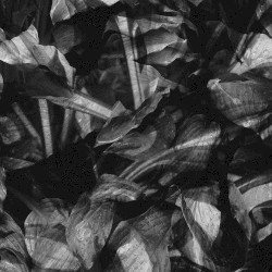 Fading in Your Unretainable Grasp