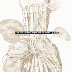 Lad Vore Hænders Nøgne Træ Få Blomst Og Blade