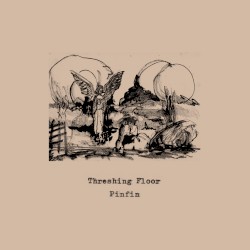 Pinfin