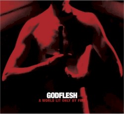 A World Lit Only by Fire