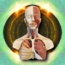 The Last of the Third One