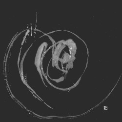 流転 陽・RUTEN + Remixes