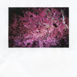 lease a bugatti, light it on fire & drive it top speed down the empty desert highway at night