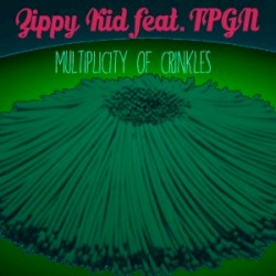 Multiplicity of crinkles