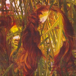 Black to Comm / Aosuke