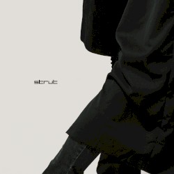 Strut