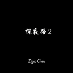 探夜路2