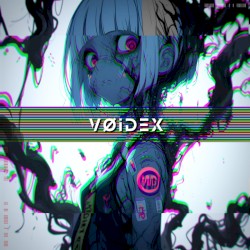 VØIDEX