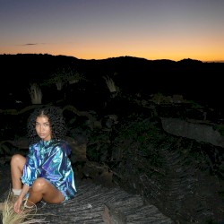 Triggered (freestyle)