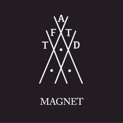 Magnet