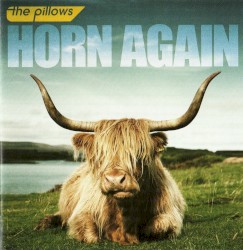 HORN AGAIN