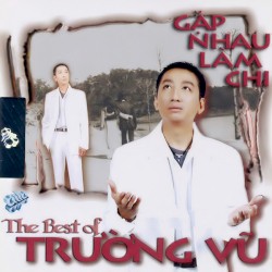 Gặp nhau làm chi - The best of