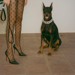 I Like What You Like