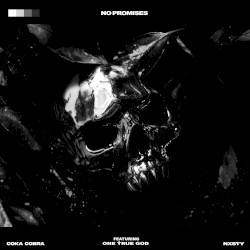 No Promises