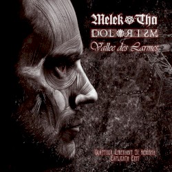 Quattuor Liberabit Si Aenigma Explicata Erit