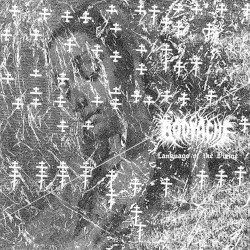 Language of the Divine