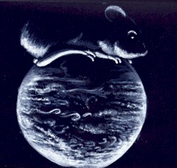 Illogical Emotional Outbursts