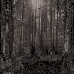 Bosque