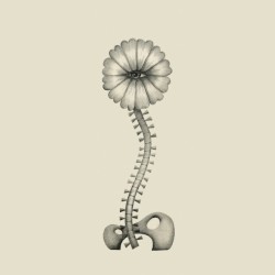 We Are Not Machines: Body Made of Stars