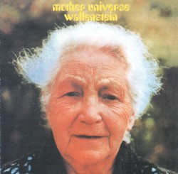 Mother Universe
