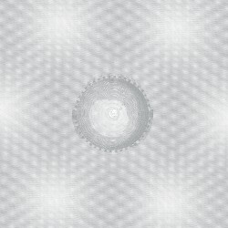 Seven Common Ways of Disappearing