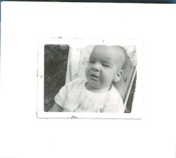 Highly Bred and Sweetly Tempered