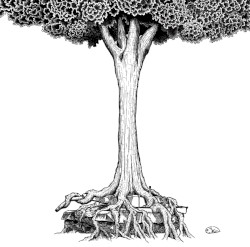 NO 〜命の跡に咲いた花〜