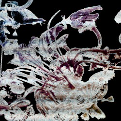 𝙎𝙚𝙣𝙤𝙡𝙮𝙩𝙞𝙘