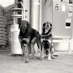 Darüber kann ich nicht lachen