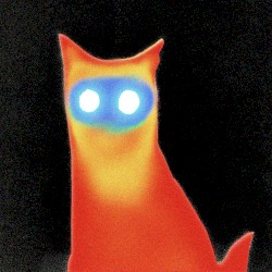 WIRED / Broken by Design