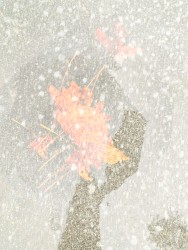 Freeroam 122 :: sparkain!