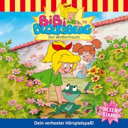 Bibi Blocksberg, Folge 56: Der Wetterfrosch