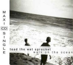 Walk on the Ocean