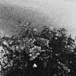 ga nëcëcta mon idlhi