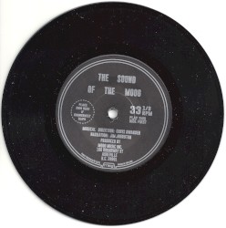 The Sound of the Moog