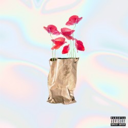 Brown Paper Bag (Maxi)