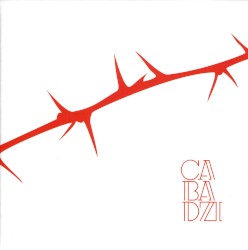 Des angles et des épines