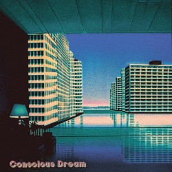 Conscious Dream