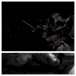 This Is All a Dream and Soon I Will Awake