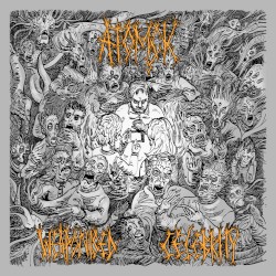 Weaponised Celebrity