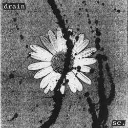 Drain