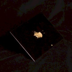 Down (Black Caviar Remix)